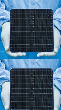 首页|尊龙集团中国官方网站