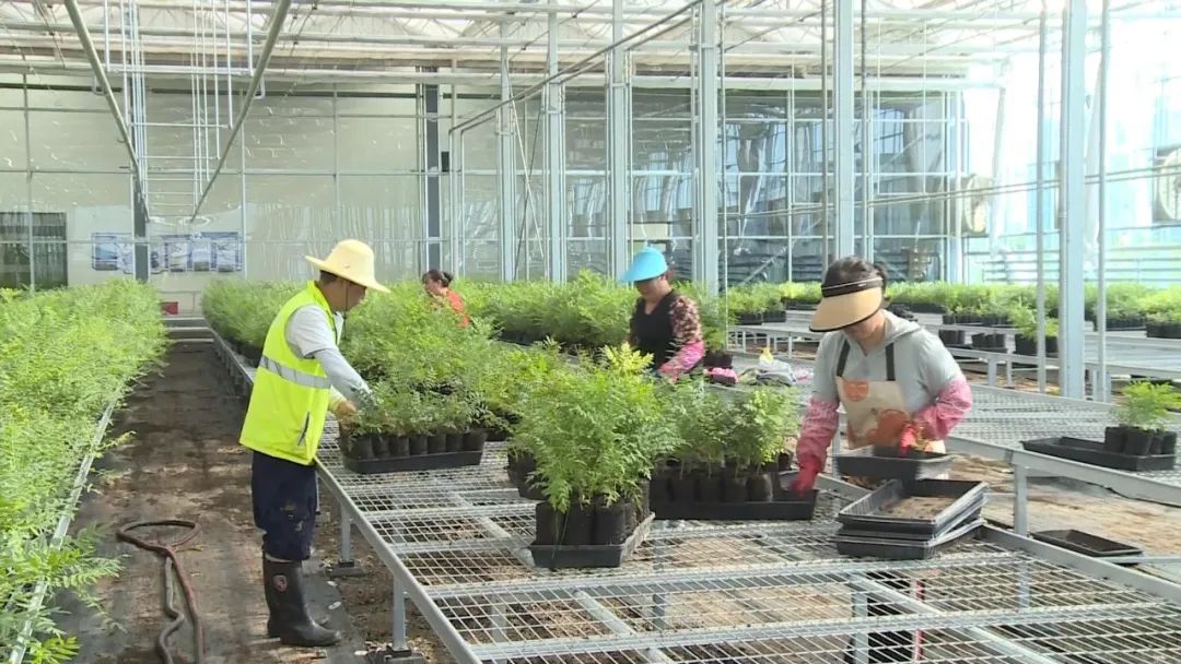 WM视讯?(中国)官方网站